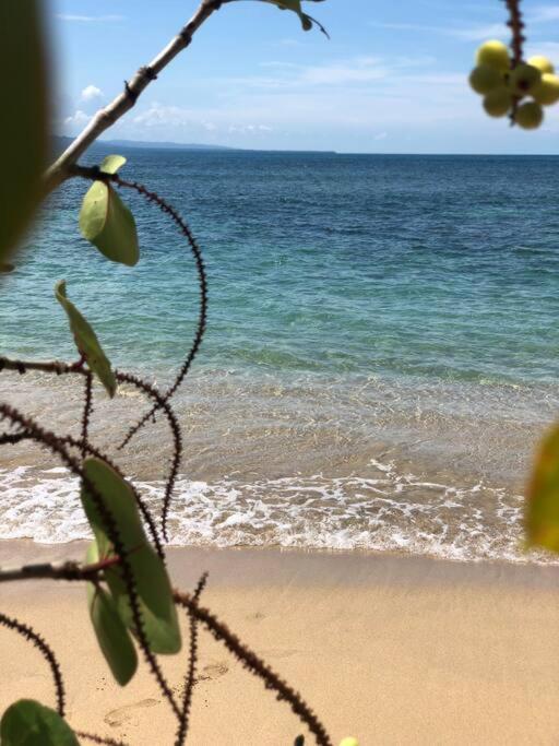 Villa Joeyshe- New Luxury Villa With Pool & Ac Puerto Viejo de Talamanca エクステリア 写真