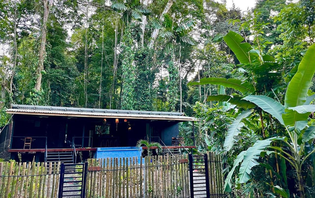 Villa Joeyshe- New Luxury Villa With Pool & Ac Puerto Viejo de Talamanca エクステリア 写真