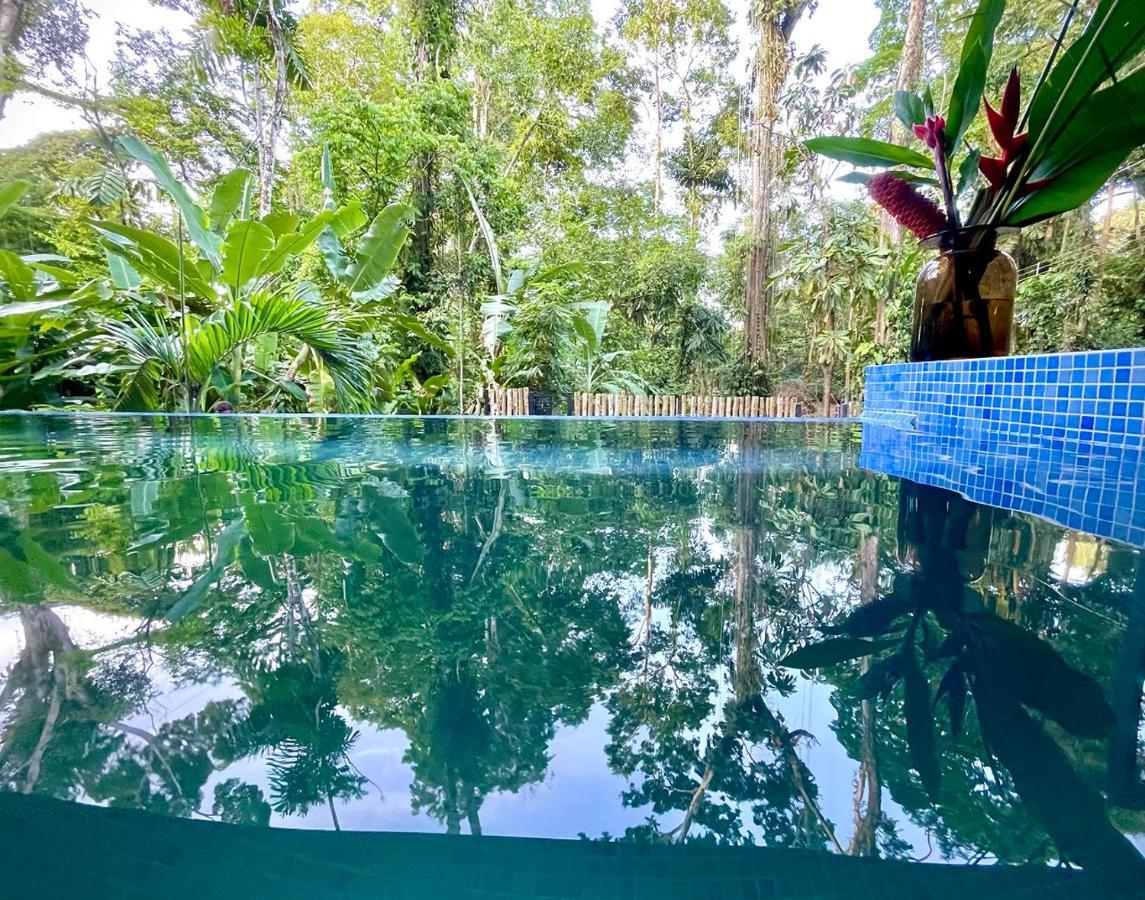 Villa Joeyshe- New Luxury Villa With Pool & Ac Puerto Viejo de Talamanca エクステリア 写真
