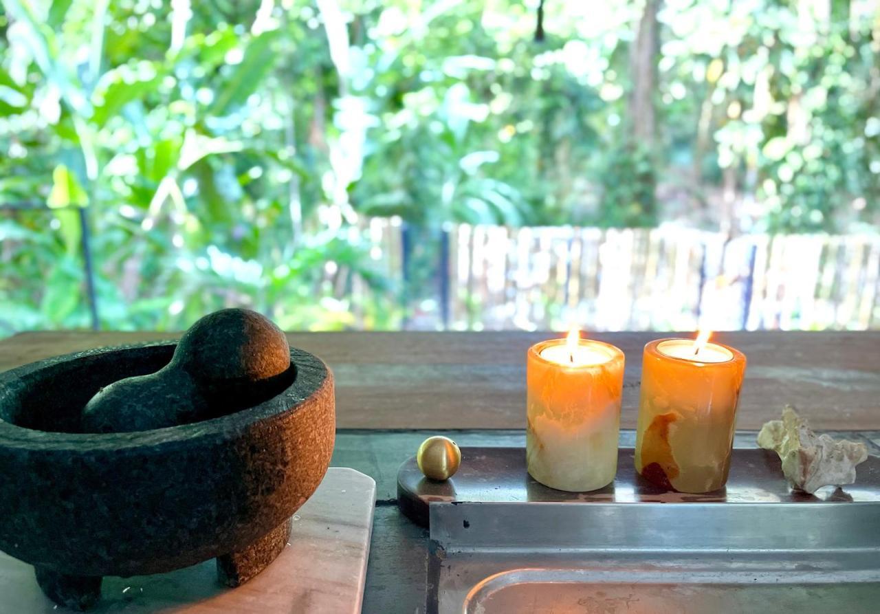 Villa Joeyshe- New Luxury Villa With Pool & Ac Puerto Viejo de Talamanca エクステリア 写真
