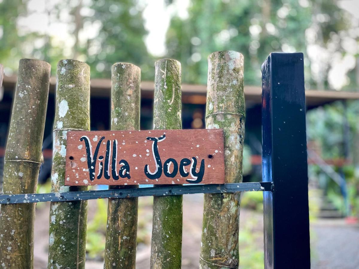 Villa Joeyshe- New Luxury Villa With Pool & Ac Puerto Viejo de Talamanca エクステリア 写真