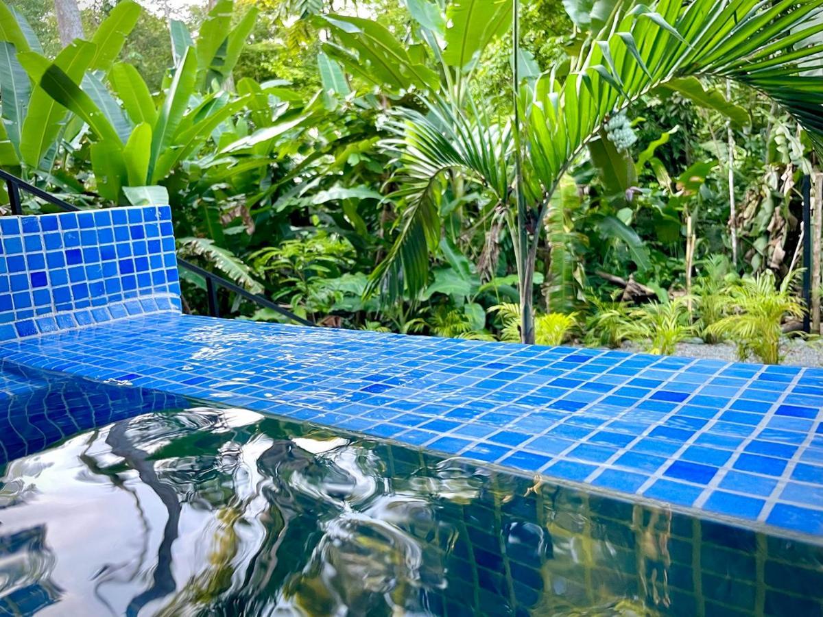 Villa Joeyshe- New Luxury Villa With Pool & Ac Puerto Viejo de Talamanca エクステリア 写真