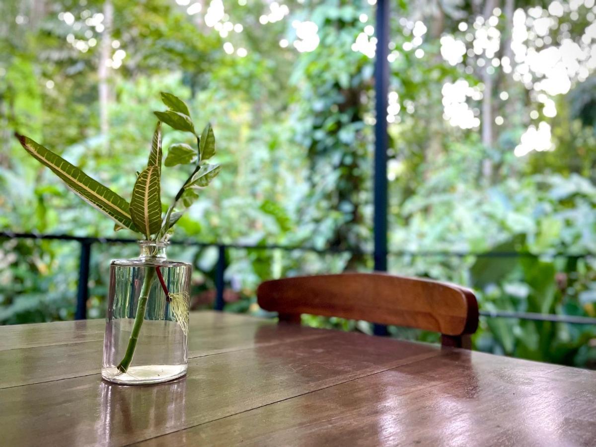 Villa Joeyshe- New Luxury Villa With Pool & Ac Puerto Viejo de Talamanca エクステリア 写真