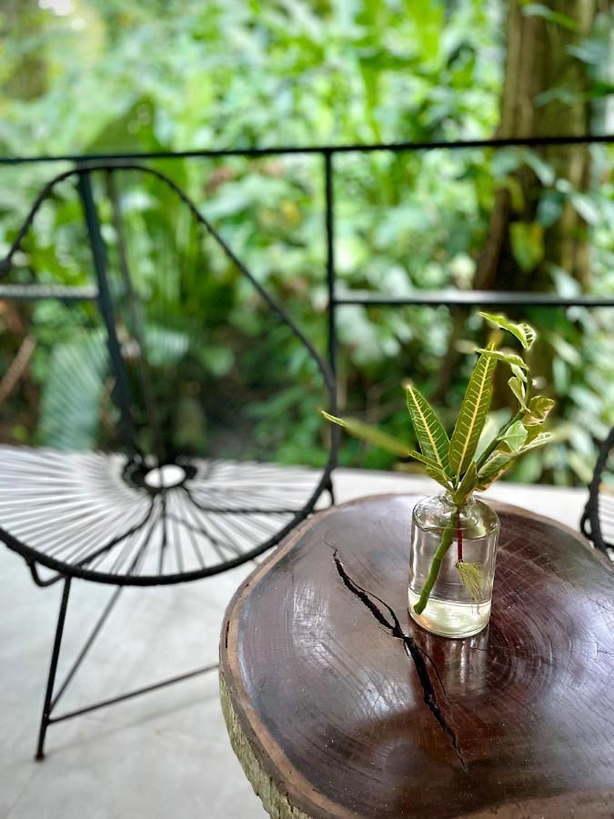 Villa Joeyshe- New Luxury Villa With Pool & Ac Puerto Viejo de Talamanca エクステリア 写真