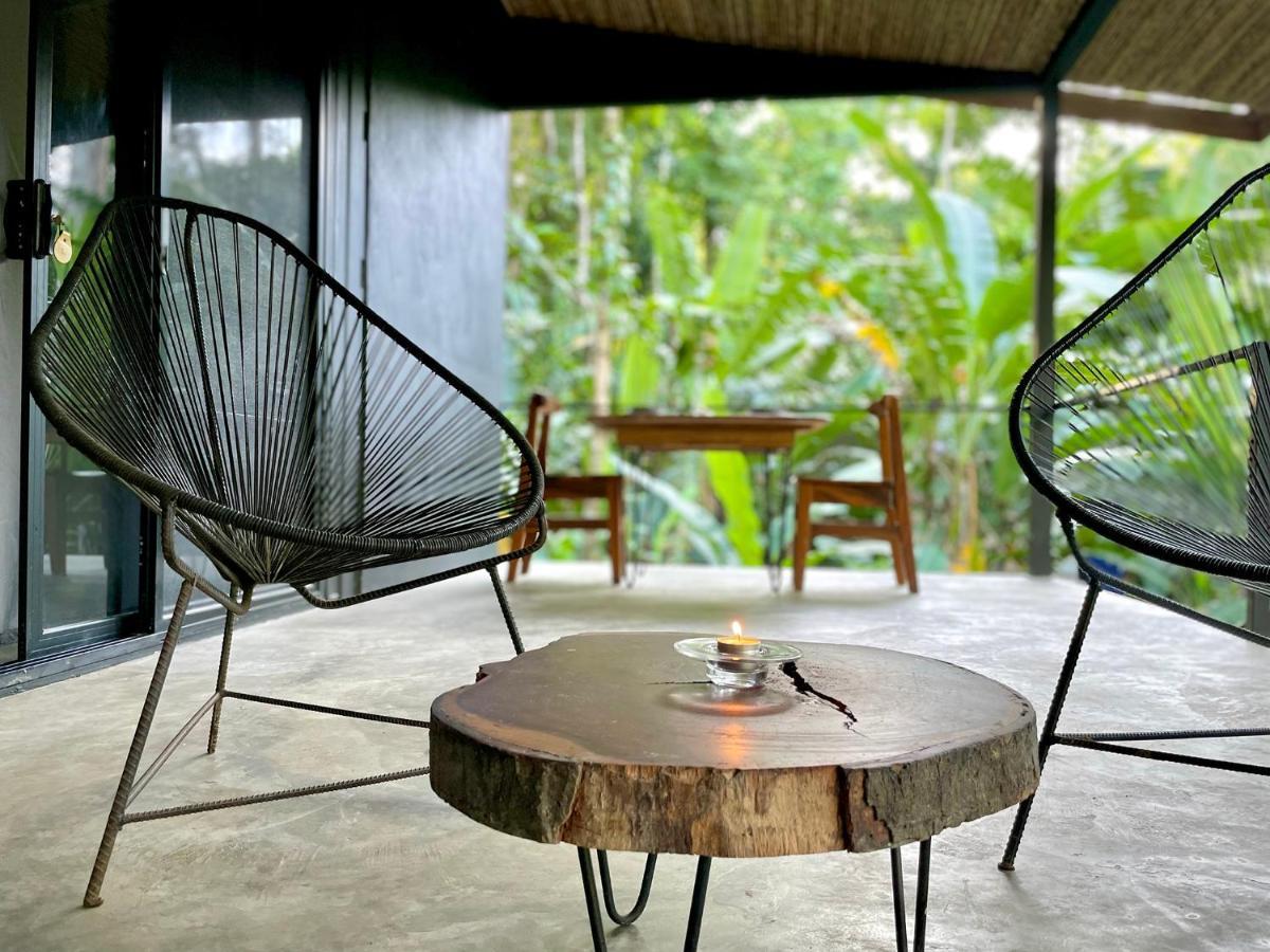 Villa Joeyshe- New Luxury Villa With Pool & Ac Puerto Viejo de Talamanca エクステリア 写真